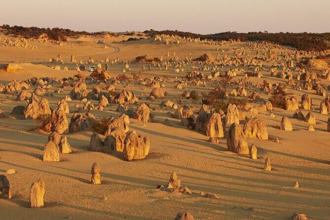6 Hours Pinnacles Express Tour - Why This Tour Offers Great Value