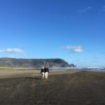 6 Hours Sightseeing Tour in Auckland - Transportation and Guide Quality