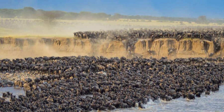 6Days Ol Pejeta, Aberdare, Lake Nakuru and Masai Mara Safari - Value and Practicality
