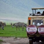 7 - Day Big Five, Tarangire, Ngorongoro, Serengeti & More - What Sets This Tour Apart
