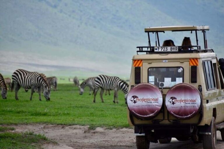 7 - Day Big Five, Tarangire, Ngorongoro, Serengeti & More - What Sets This Tour Apart