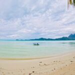 7 Day Catamaran Cruise - Explore the Leeward Islands - What to Expect from the Experience