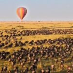 7-Day Group Safari from Zanzibar: - Breaking Down the Itinerary
