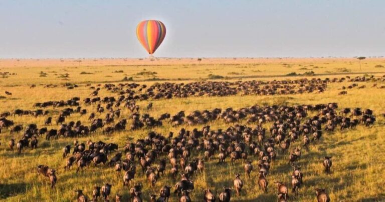 7-Day Group Safari from Zanzibar: - Breaking Down the Itinerary