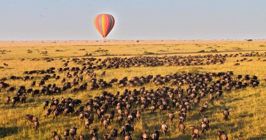 7-Day Group Safari from Zanzibar: - Breaking Down the Itinerary