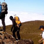7-Day: Kilimanjaro Trek via Machame Route - The Practical Side: Whats Included and Whats Not