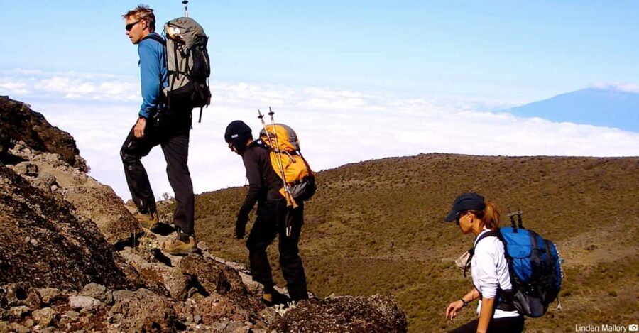 7-Day: Kilimanjaro Trek via Machame Route - The Practical Side: Whats Included and Whats Not