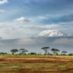 7-Day Lemosho Route Mt.Kilimanjaro Trek Budget Experience - Authenticity and Guides