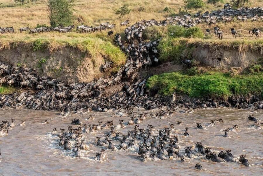 7 Days 6 Nights Kenya Classic Magical Safari Itinerary - Key Points