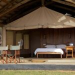 7 Days Amboseli-Bogoria/Baringo-Nakuru & Masai Mara Safari. - Is This Tour Worth the Price?