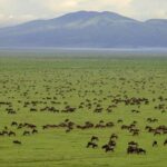 7-Days Budget Camping - Tarangire, Serengeti, Ngorongoro... - A Closer Look at the 7-Day Tanzania Safari Itinerary