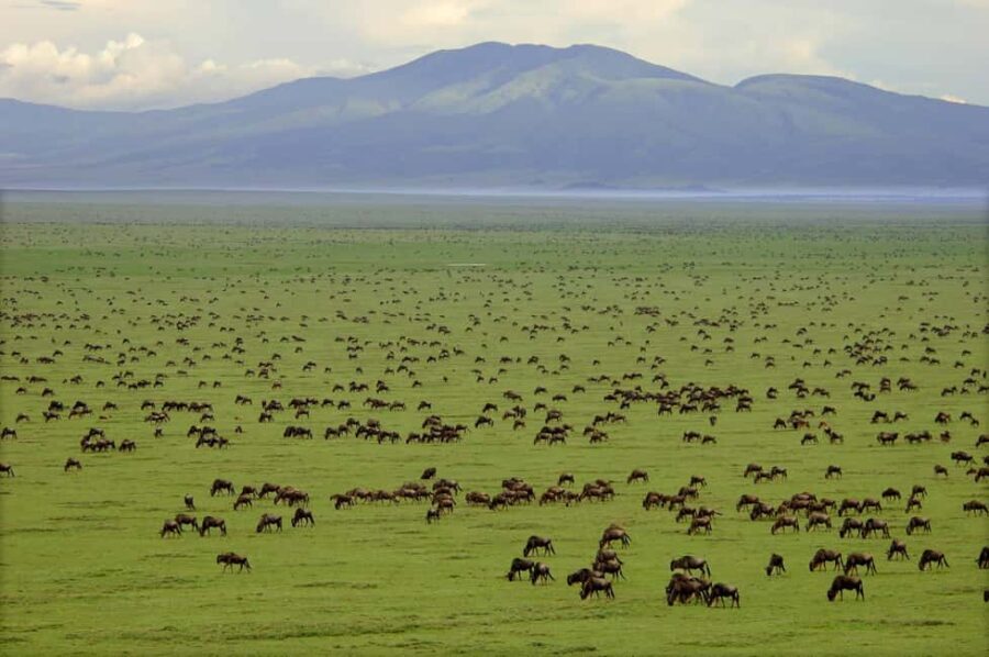 7-Days Budget Camping - Tarangire, Serengeti, Ngorongoro... - A Closer Look at the 7-Day Tanzania Safari Itinerary