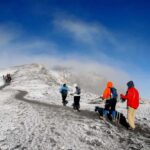 7 Days Kilimanjaro Climb via Lemosho Route - The Itinerary Breakdown: What to Expect Each Day