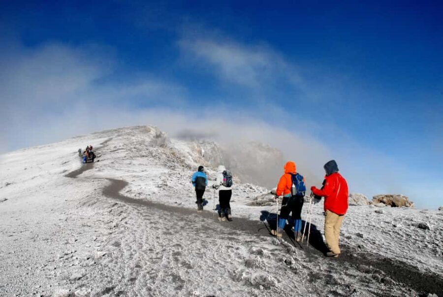 7 Days Kilimanjaro Climb via Lemosho Route - The Itinerary Breakdown: What to Expect Each Day