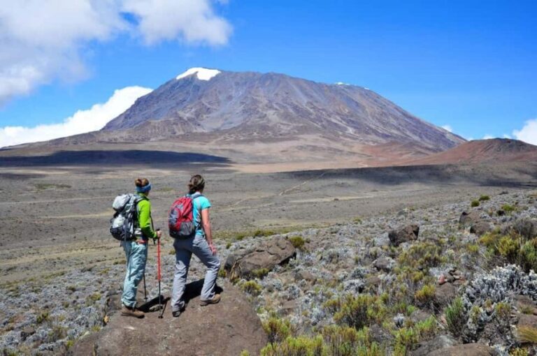 7 Days Kilimanjaro Climbing Machame Route - Analyzing the Value: Is This Climb Worth It?
