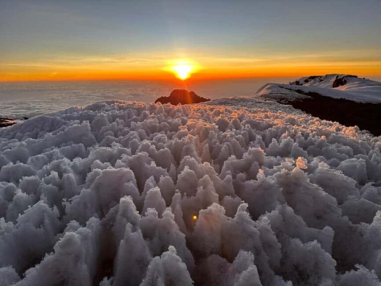 7 Days Kilimanjaro Group Challenge - The Experience of the Route