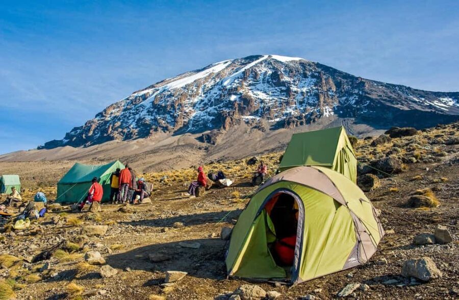 7-Days Mount Kilimanjaro Machame Route Trekking & Transport - Day 2: Machame Camp to Shira Camp