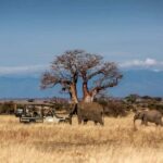 7 Days Samburu-Nakuru-Naivasha-Masai Mara Ultimate Adventure - The Value of This Safari
