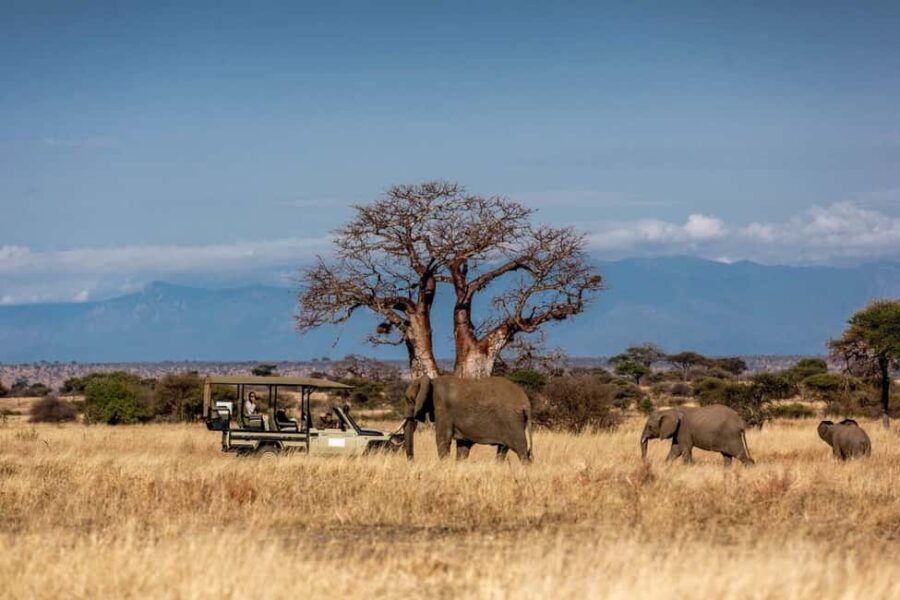 7 Days Samburu-Nakuru-Naivasha-Masai Mara Ultimate Adventure - The Value of This Safari