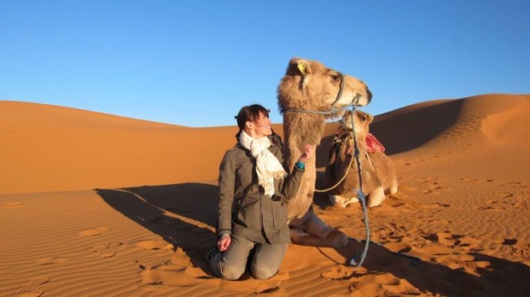 7 night 8 day Casablanca morocco tour via merzouga - Practical Details and Value