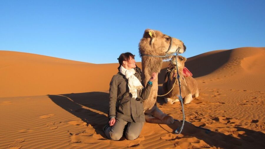 7 night 8 day Casablanca morocco tour via merzouga - Practical Details and Value
