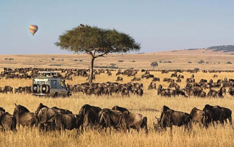 7Days Lake Nakuru Masai Mara Serengeti & Ngorongoro Safari - Introduction to the Tour