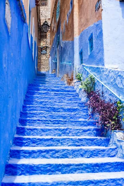 8-Day Private Moroccan Sahara Tour - Transportation and Guides
