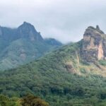 8 Days Harar, bale mountain and Awash safari tour. - Starting in Addis Ababa