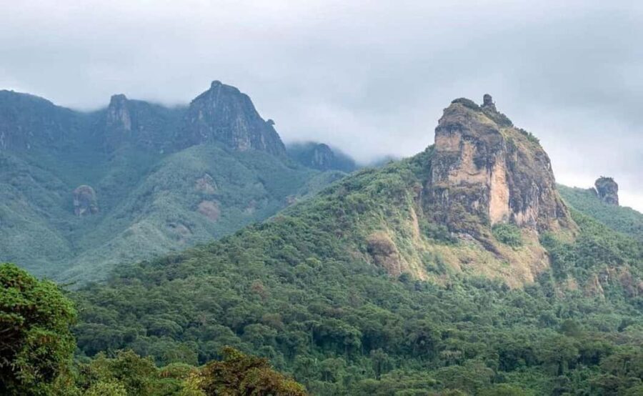8 Days Harar, bale mountain and Awash safari tour. - Starting in Addis Ababa