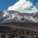 8-Days Mount Kilimanjaro Lemosho Route Trekking Tour. - What Makes This Tour Stand Out?