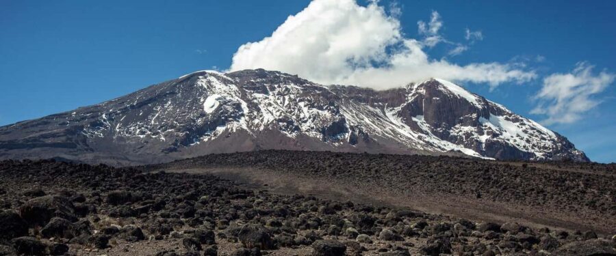 8-Days Mount Kilimanjaro Lemosho Route Trekking Tour. - What Makes This Tour Stand Out?