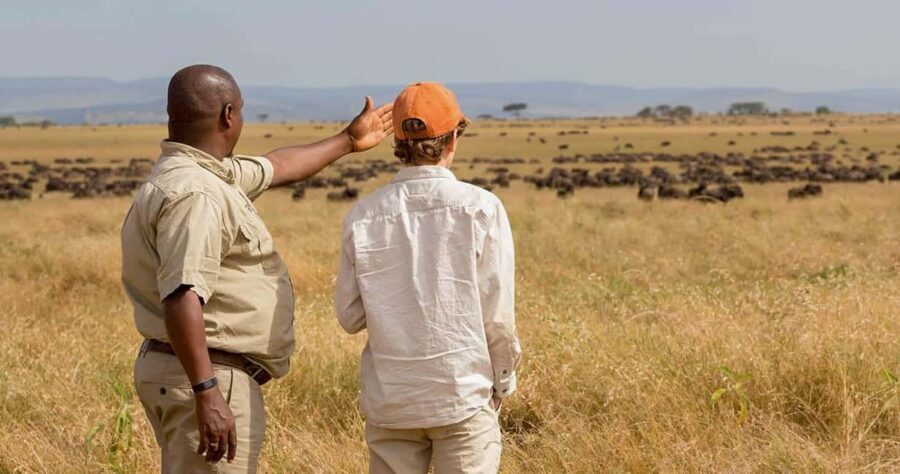 8 Days: Serengeti great migration - Practical Tips & Recommendations