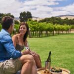 8 Hour Wine Tour and Tasting Experience at McLaren Vale - An In-Depth Look at the McLaren Vale Wine Tour
