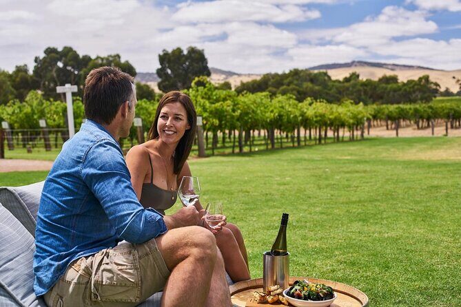 8 Hour Wine Tour and Tasting Experience at McLaren Vale - An In-Depth Look at the McLaren Vale Wine Tour
