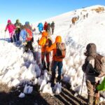 9 Days Mount Kilimanjaro Climbing  Northern Circuit Route - Practical Aspects of the Tour