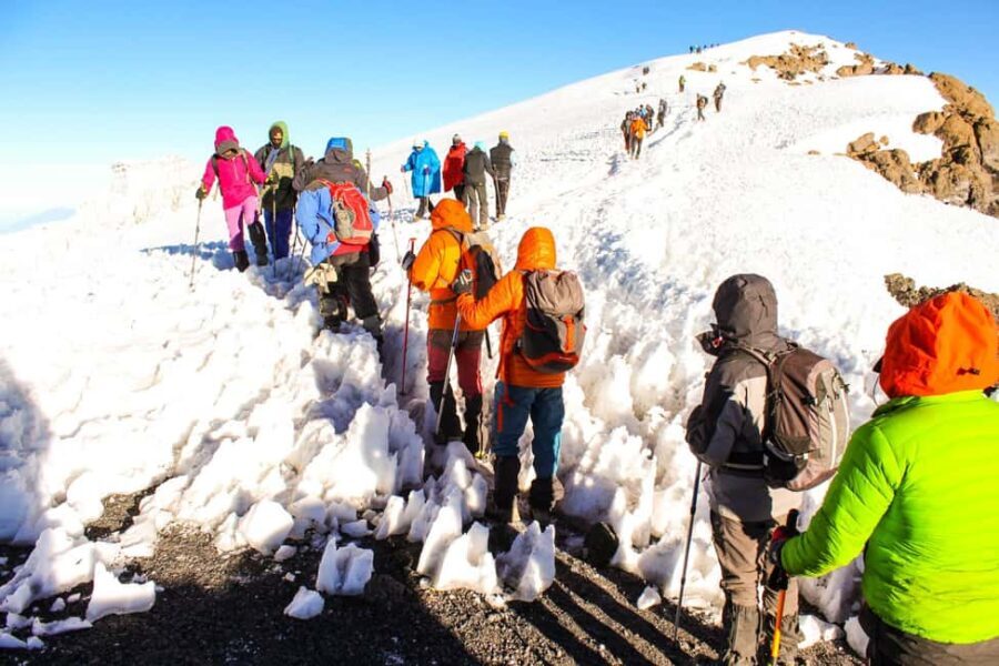 9 Days Mount Kilimanjaro Climbing  Northern Circuit Route - Practical Aspects of the Tour