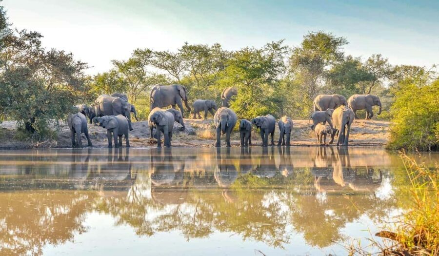 9 Days Serengeti Wildebeest Migration Safari - What’s Included & What to Know