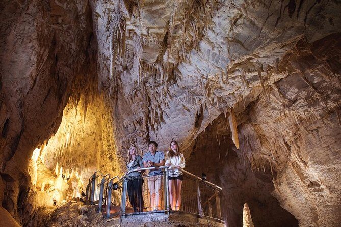 90-Minute Guided Ruakuri Cave Tour Waitomo - An In-Depth Look at the Ruakuri Cave Tour