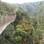 A 10-day Lowland Gorilla trek expedition in DR Congo - Practicalities and Value