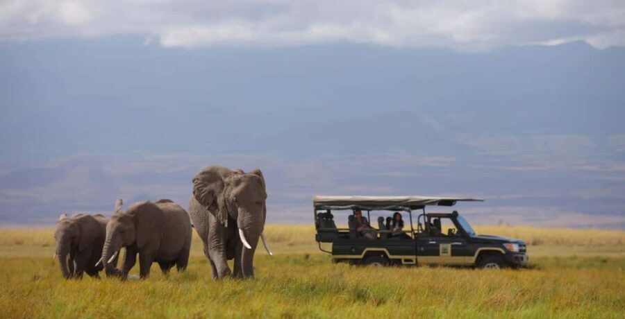 A Day at Amboseli National Park from Nairobi - Who Is This Tour Best For?