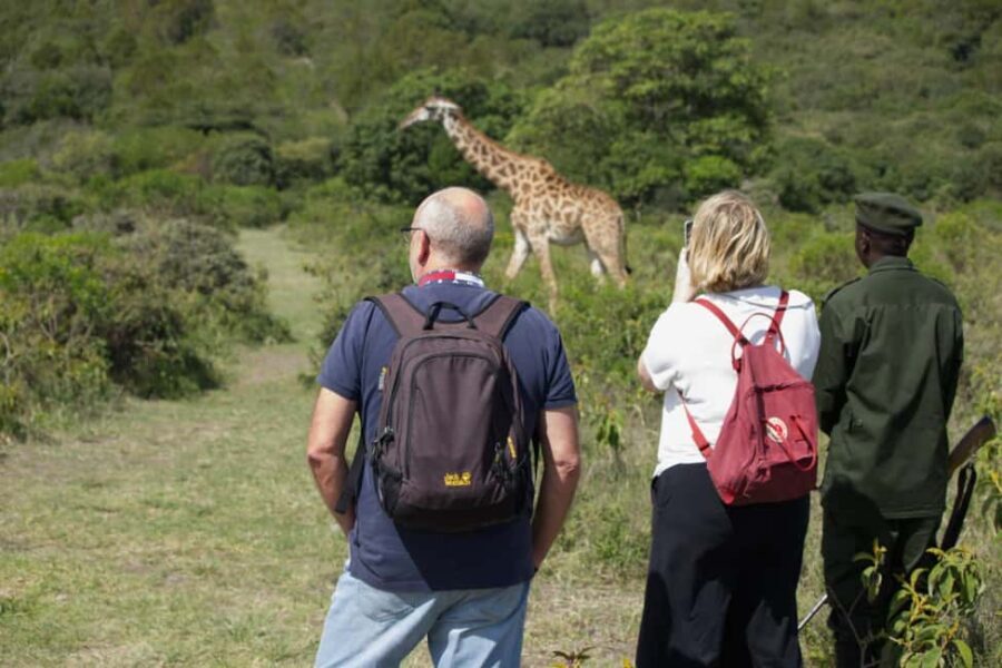 A Day in Arusha National Park - Single-Day Trip - What You Can Expect from Your Day in Arusha National Park