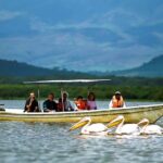 A day tour; Lake Nakuru national park and Naivasha Boat ride - Practical Details & Value
