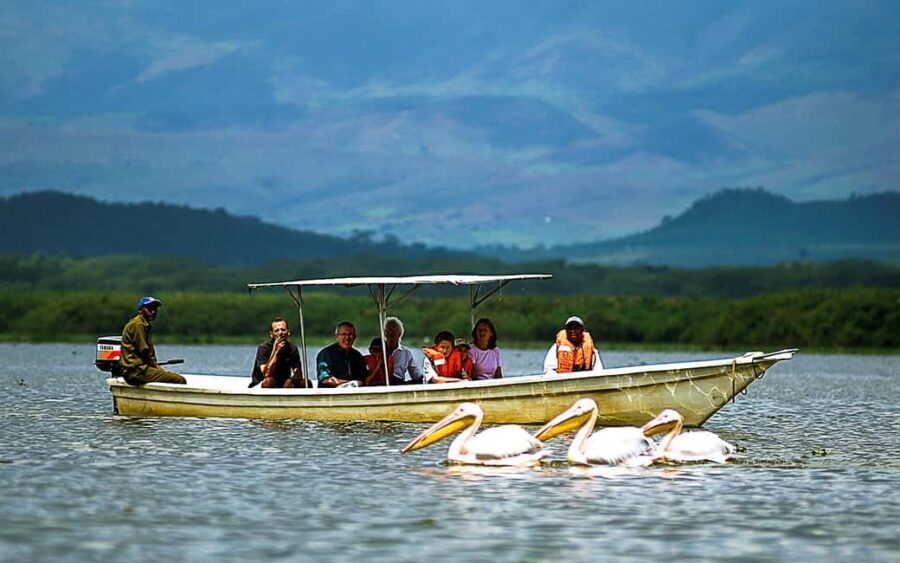 A day tour; Lake Nakuru national park and Naivasha Boat ride - Practical Details & Value