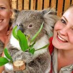 A Day with Penguins & Kangaroos: Small group Phillip Island Tour - Practical Insights and Tips