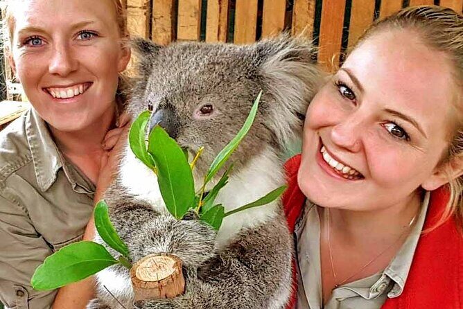 A Day with Penguins & Kangaroos: Small group Phillip Island Tour - Practical Insights and Tips