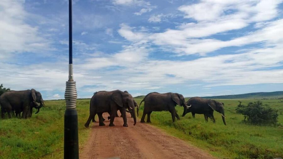 A Full-Day Nairobi tour: Nairobi National Park, - Practical Details and What to Expect