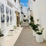 A Guided Day Trip to Tetouan and Chefchaouen from Tangier - The Value of the Tour