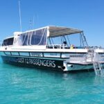 ABC Snorkel Charters Port Douglas Snorkelling max 12 passengers - Why choose this reef tour?