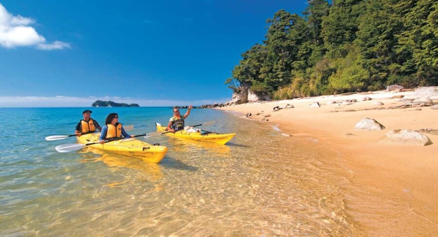 Abel Tasman Kayaks: 3 Day Kayak and Walk North - Why This Tour Offers Great Value