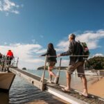 Abel Tasman National Park: Cruise, Kayak, & Hike Tour - Why Choose This Tour?